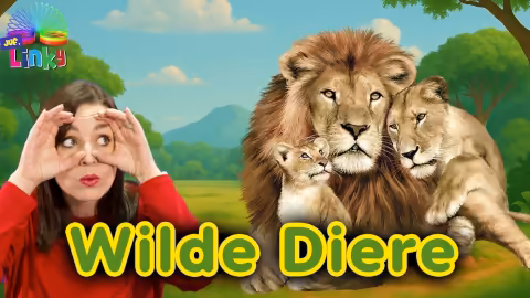 videos wilde diere